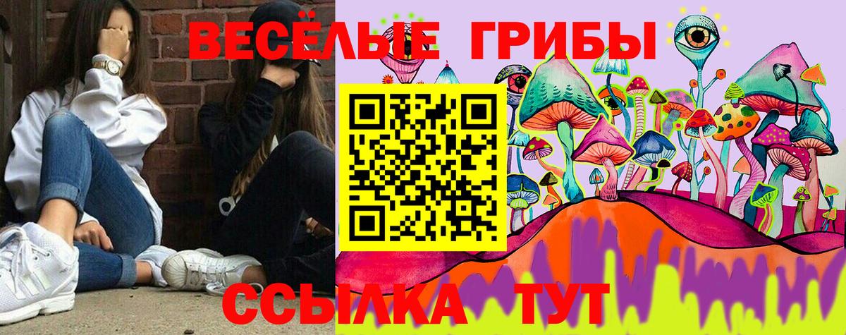 Псилоцибиновые грибы Psilocybine cubensis Елец