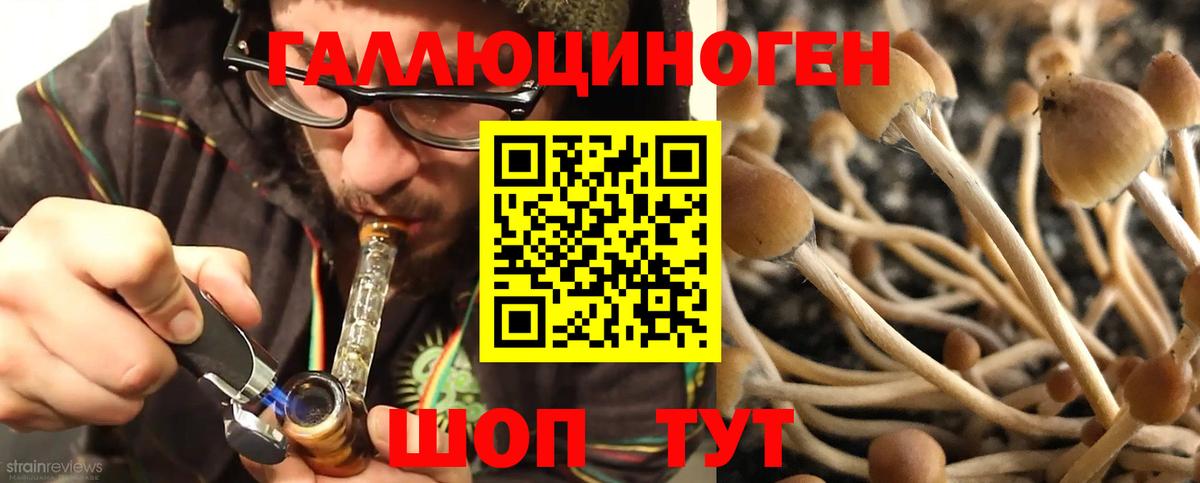 Псилоцибиновые грибы ЛСД  Галлюциногенные грибы MAGIC MUSHROOMS  Вход с VPN  Елец 